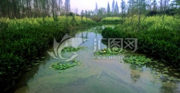 昆明海东湿地