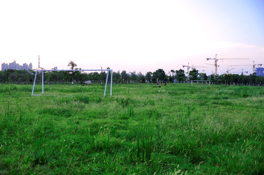 公园绿草足球场
