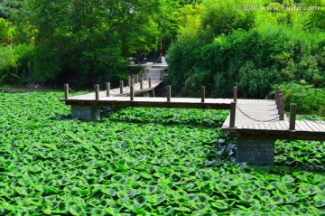 西昌湿地公园