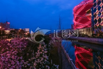 楚河夜景