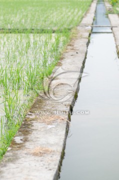 水渠灌溉