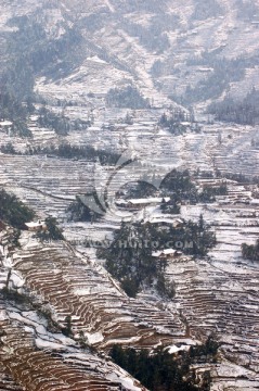 梯田雪景