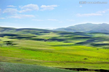 新疆伊犁大草原