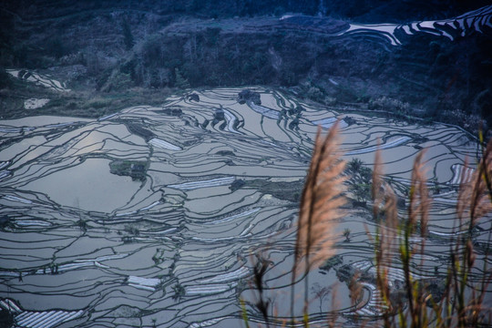 元阳梯田