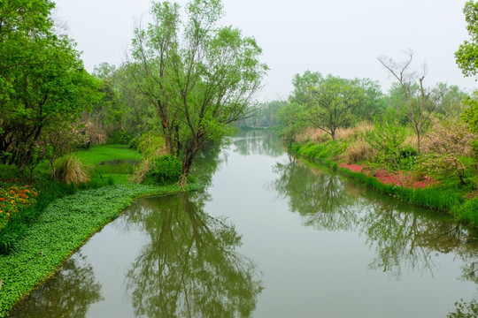 西溪湿地