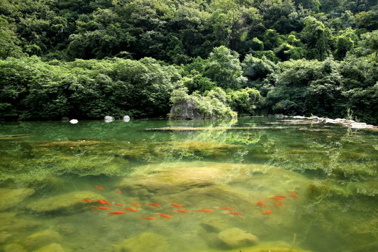 青山绿水