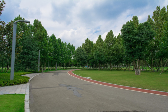 马路