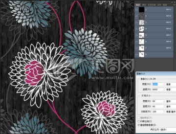 菊花