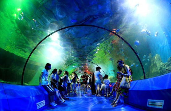 海洋公园海底隧道