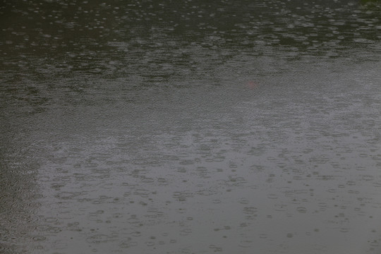 雨