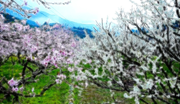 山坡田园风景