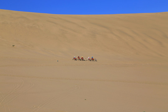 沙漠 沙丘 骆驼队