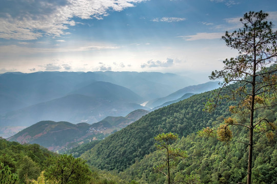 龙陵松山