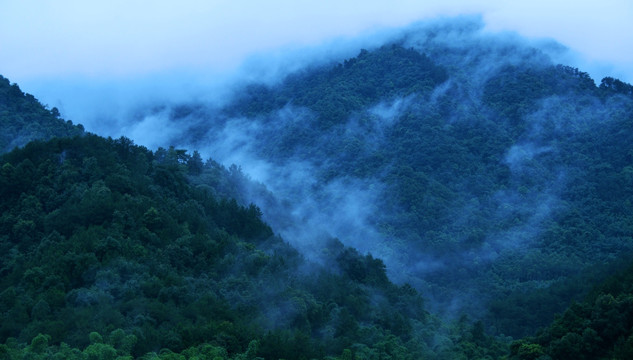 大山云雾