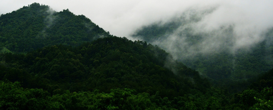 大山云雾