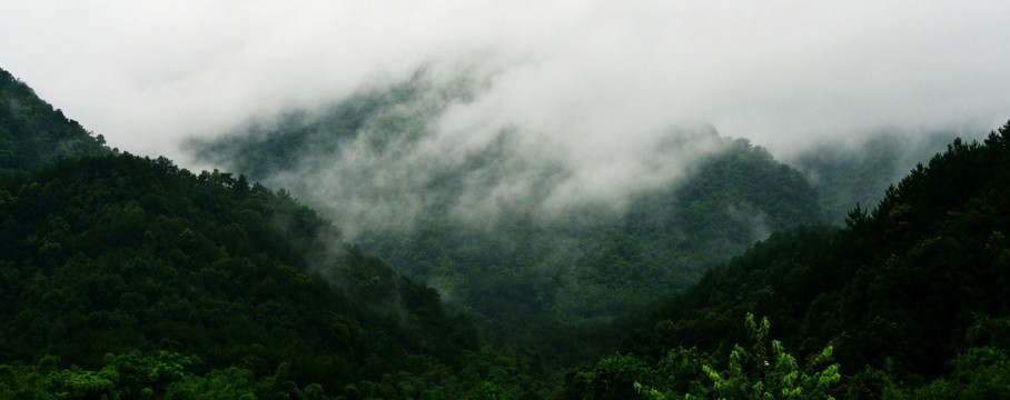 大山云雾