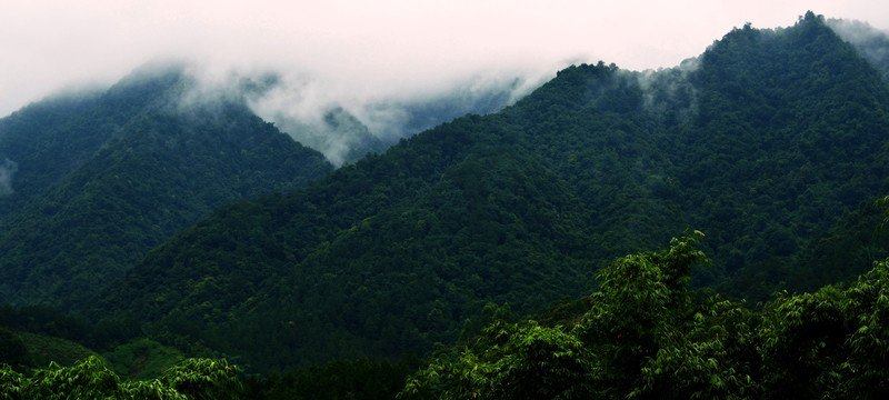 大山云雾