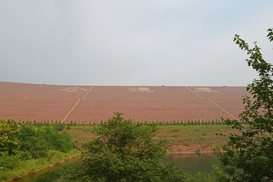 小浪底风光