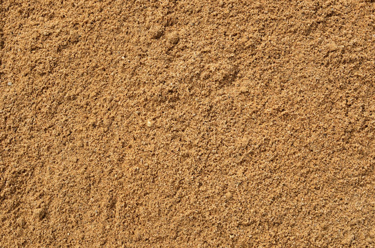 沙 砂 沙子