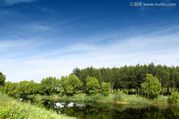 水渠 水利 绿树