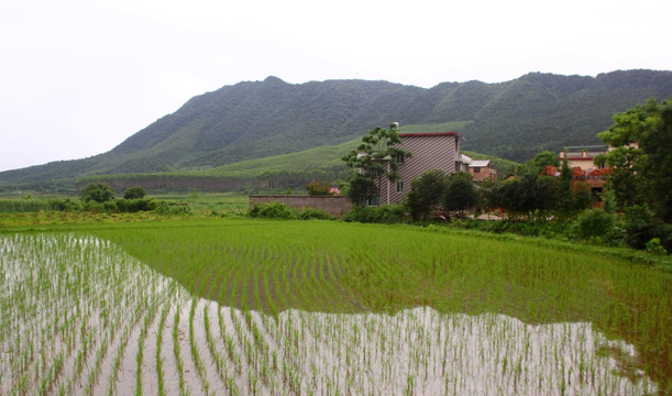 山村