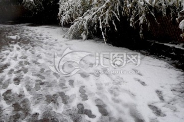 雪地脚印