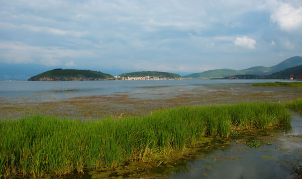 洱海岸边