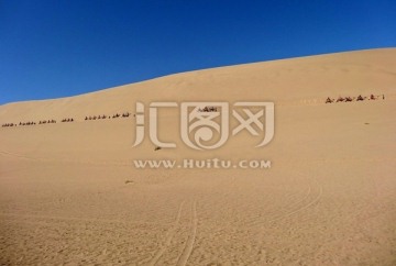 沙漠旅游 骆驼队