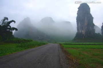 乡间小路 晨雾