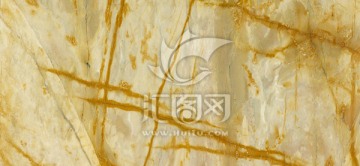 希尔纳金