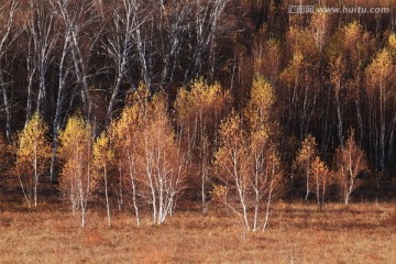 草原风光 自然风光