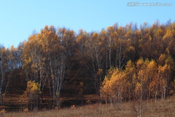 草原风光 自然风光