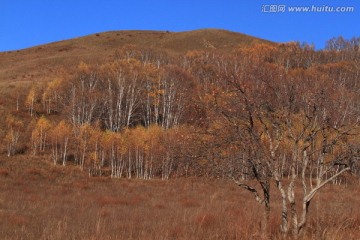 自然风光 草原风光 秋天