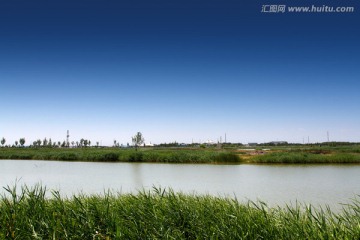 芦苇 小河