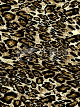 印花 背景 动物纹 豹纹
