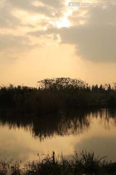 夕阳  西溪  湿地