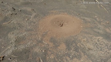 新疆 吐鲁番 戈壁 蚂蚁窝