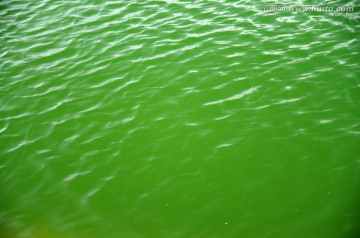 水波
