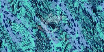 豹纹