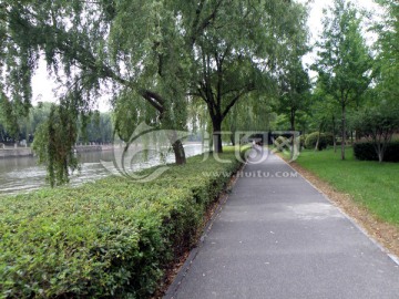 城市绿道 林荫道 江南水乡