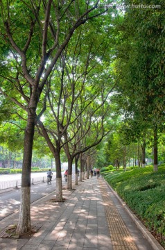 绿化良好的城市人行道