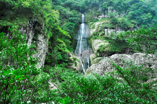 山间流水草木