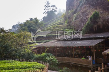 武夷山茶园