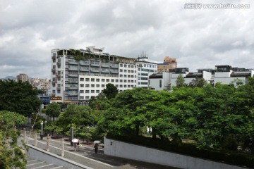 城市绿化