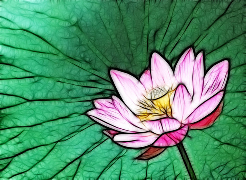 荷花抽象画