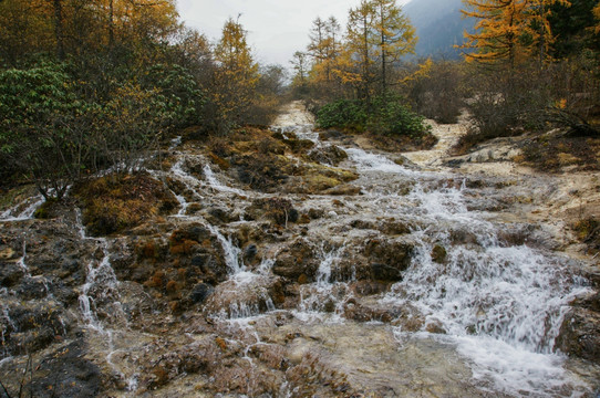 四川黄龙风光