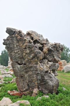 奇石 石头 景观石 （18）