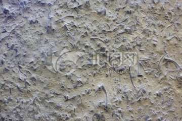 三叶虫化石板 古生物化石