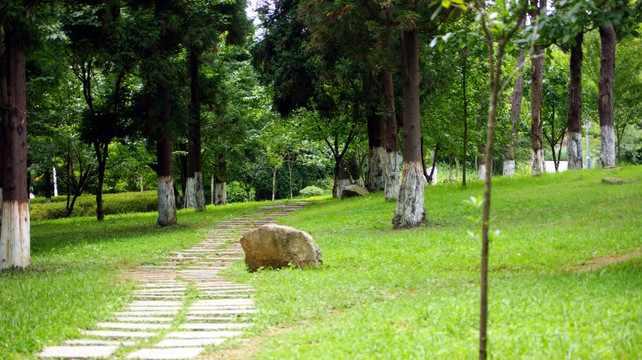 观山湖