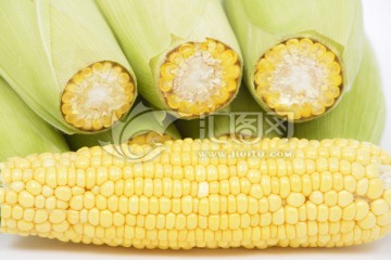 玉米 甜玉米